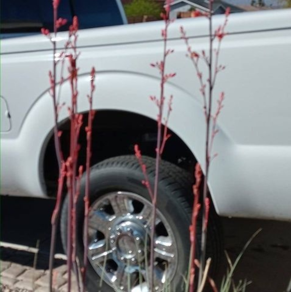 Meet your Posher, Bill